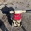 2011-edco-tmc7-5.5h-7in-gas-edge-grinder-image-12