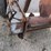 new-idea-3632-image-16