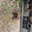 #25318-•-steel-bumper-for-full-sized-ford-pickup-image-5