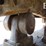 1998-komatsu-pc1100-lc-6-image-42