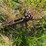 #2540-•-roseman-3pt-rake-image-13