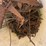pallet-of-miscellaneous-items-image-9