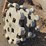 cat-excavator-compaction-wheel-image-4
