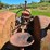 #2524-•-1948-case-la-tractor-image-24