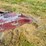 utility-flatbed-image-6