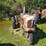 #2529-•-bf-avery-model-a-tractor-image-8