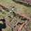 #2542-•-roseman-3pt-rake-image-12