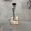 30"-tall-pedestal-image-2