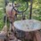 farmall-cub-with-sickle-mower-image-16