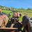 #2525-•-case-tractor-image-26