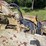 #2520-•-john-deere-paddle-scraper-image-12