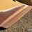 caterpillar-10-image-7