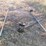 gates,-galvanized-chainlink-5pcs-w/misc-components-image-4