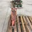 antique-pump-jack-image-4