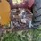 farmall-b-with-woods-belly-mower-image-15