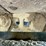 2006-caterpillar-315cl-image-21