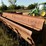drill,-international-harvestor-16-hole-image-4