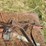 red-rotary-cutter-tractor-implement-with-pto-shaft-image-3