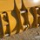 caterpillar-15-image-5