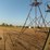 deer-stand,-tower-blind-image-2