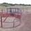 3-hay-rings--1-polly-&-2-metal-image-1