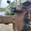 1951-john-deere-a-image-38
