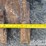 2019-caterpillar-308-cr-image-24