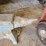 heavy-metal-blacksmith-anvil-with-integrated-stand-base-image-2