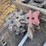 cat-mini-excavator-compaction-wheel-image-1