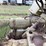 terex-ts14b054-image-86