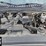 2020-ford-f350-image-25