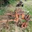 tractor-drawn-multi-row-cultivator-implement-with-metal-frame-and-ground-wheels-image-3