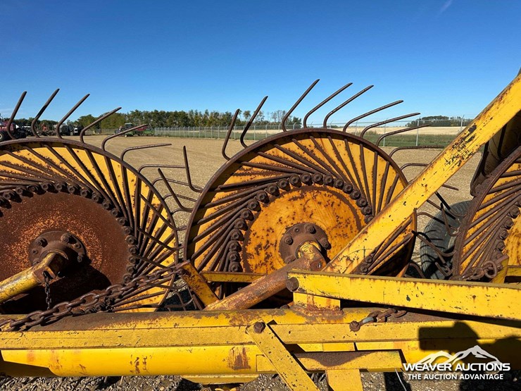 dika-wr548-5-wheel-root-rake-image-13