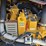 2019-caterpillar-289d-image-38