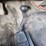 2010-ford-f350-image-21