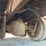 1999-volvo-wg64-image-57