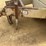 #3338-•-ingersoll-rand-ir900-towable-air-compressor-image-37