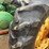 john-deere-60-image-10