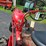#2508-•-farmall-cub-tractor-image-41