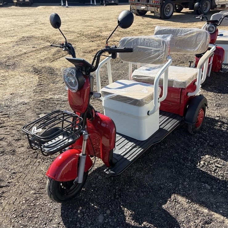 SDLanch Mini Golf Cart Red
