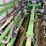 2013-john-deere-db60-image-55