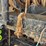 caterpillar-c15-image-64