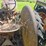 #2521-•-mccormick-w9-tractor-image-21