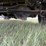 2006-dodge-ram-3500-image-23