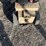 2011-edco-tmc7-5.5h-7in-gas-edge-grinder-image-11