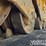 2019-caterpillar-289d-image-12