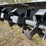 2025-pabreak-72in-hydraulic-rotary-tiller-skid-steer-attachment-image-7