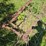 #2540-•-roseman-3pt-rake-image-10