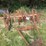 tractor-drawn-multi-row-cultivator-implement-with-metal-frame-and-ground-wheels-image-2