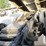 2016-peterbilt-579-image-21